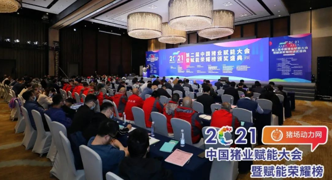 正康生?Plus榮獲“2021年度匠心飼料添加劑”！